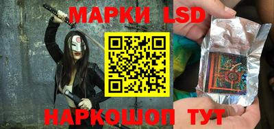 амф Новодвинск