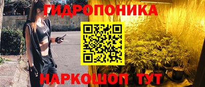 бошки Новозыбков